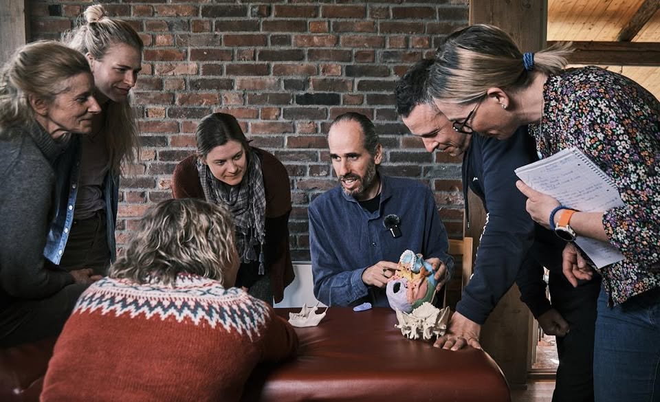 ICS-methode – Osteopathische benadering van Craniosacraaltherapie workshop in Oslo